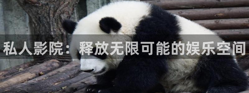 青苹果影院yy6090在线观看